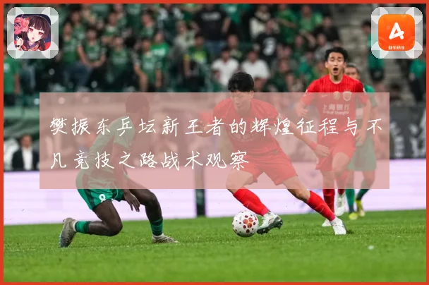 樊振东乒坛新王者的辉煌征程与不凡竞技之路战术观察