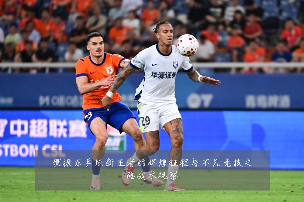 樊振东乒坛新王者的辉煌征程与不凡竞技之路战术观察